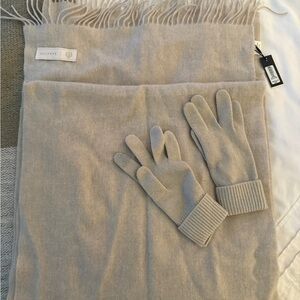 Aritzia Aspen Cashmere Scarf & Gloves